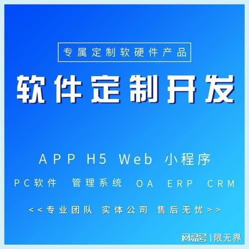 上海優(yōu)秀軟件開(kāi)發(fā)公司概覽與行業(yè)趨勢(shì)